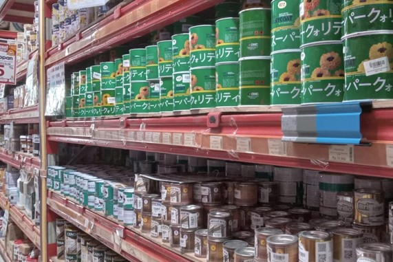 Display Cat Kayu Hijau