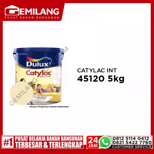 CATYLAC INTERIOR LIME 45120 5kg