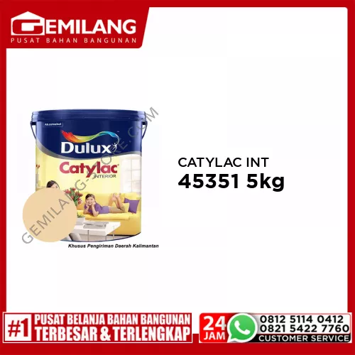 CATYLAC INTERIOR GINGER PEACHY 45351 5kg