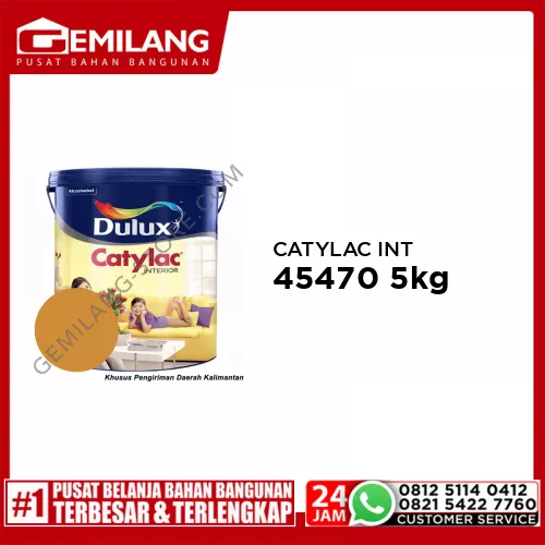 CATYLAC INTERIOR EARTH YELLOW 45470 5kg