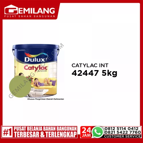 CATYLAC INTERIOR GREEN STRIP 42447 5kg