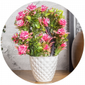Artificial Flowers & Plants