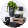 Pots & Planters