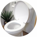Toilet Seats