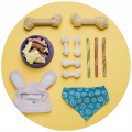 Pets & Accessories