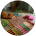 Carpet, Rugs & Mats