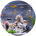 Aquarium & Accessories