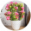 Artificial Flowers & Plants