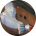 Wood & Metal Paint