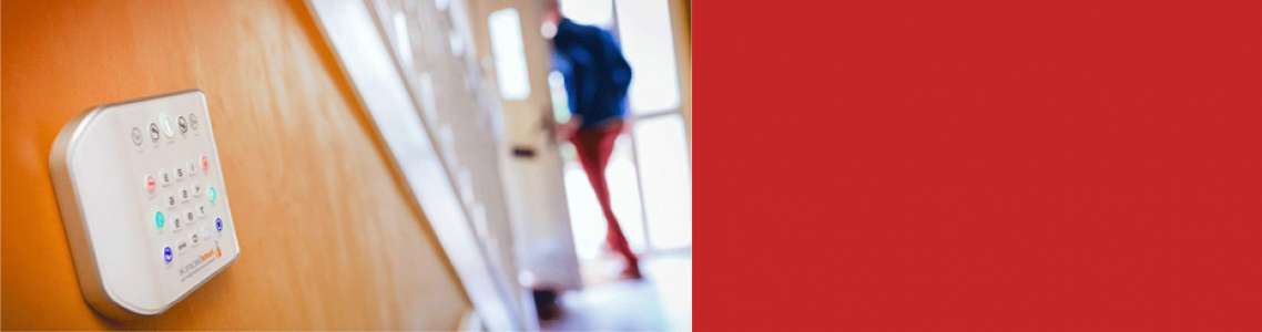 Theft & Intruder Alarms