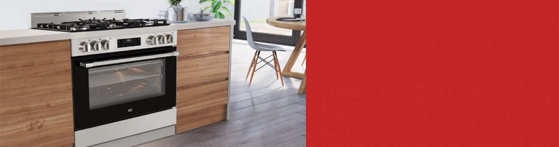 Free-standing Cooker