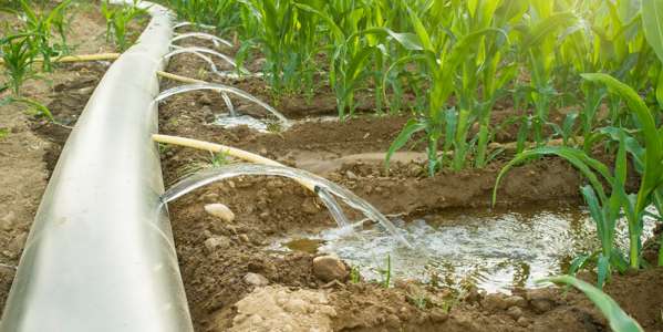 Irrigation Systems