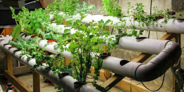 Hydrophonic Systems