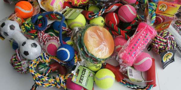 Pet Toys