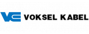 Logo VOKSEL