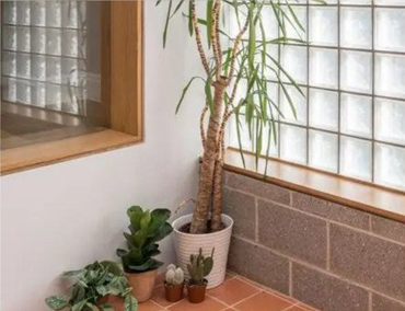 Tips Memilih & Membeli Glass Block