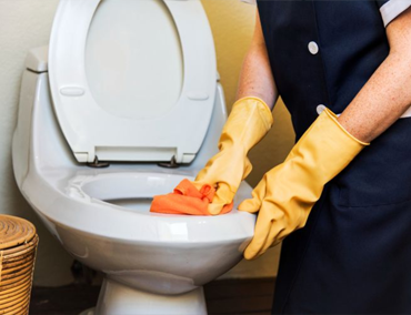 Berbagai Macam Jenis Perlengkapan Pembersih Closet