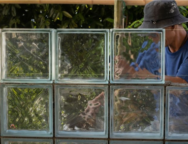 Tips Instalasi & Pemasangan Glass Block