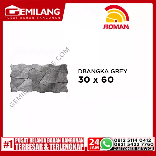 ROMAN DBANGKA GREY (GL638076) 30 x 60