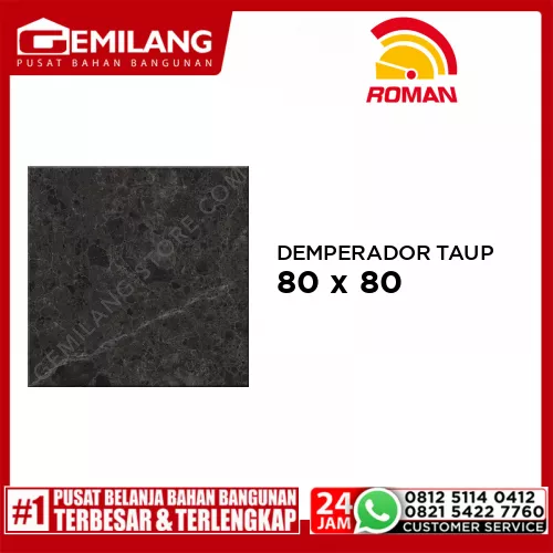 ROMAN GRANIT DEMPERADOR TAUPE (GT809466FR) 80 x 80