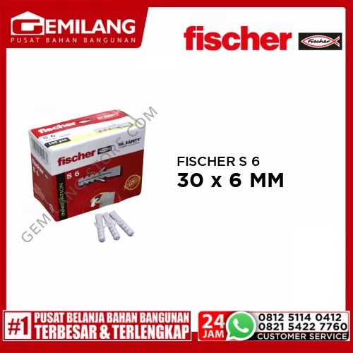 FISCHER 100 x S 6 x 30 (BOX)