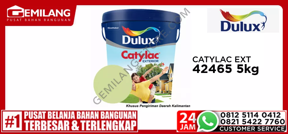 CATYLAC EXTERIOR GREEN LIME 42465 5kg