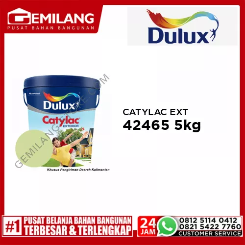 CATYLAC EXTERIOR GREEN LIME 42465 5kg