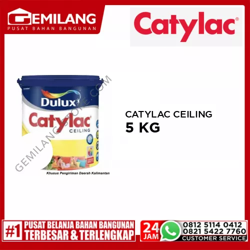 CATYLAC CEILING WHITE MATT 5kg
