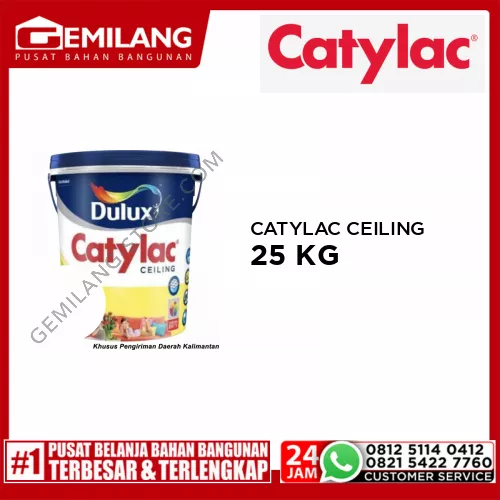 CATYLAC CEILING WHITE MATT 25kg