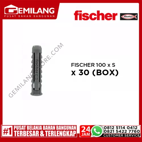 FISCHER 100 x SX 6 x 30 (BOX)