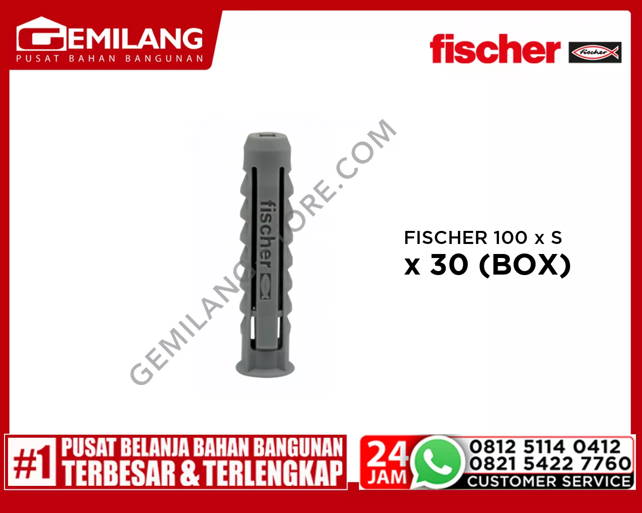FISCHER 100 x SX 6 x 30 (BOX)