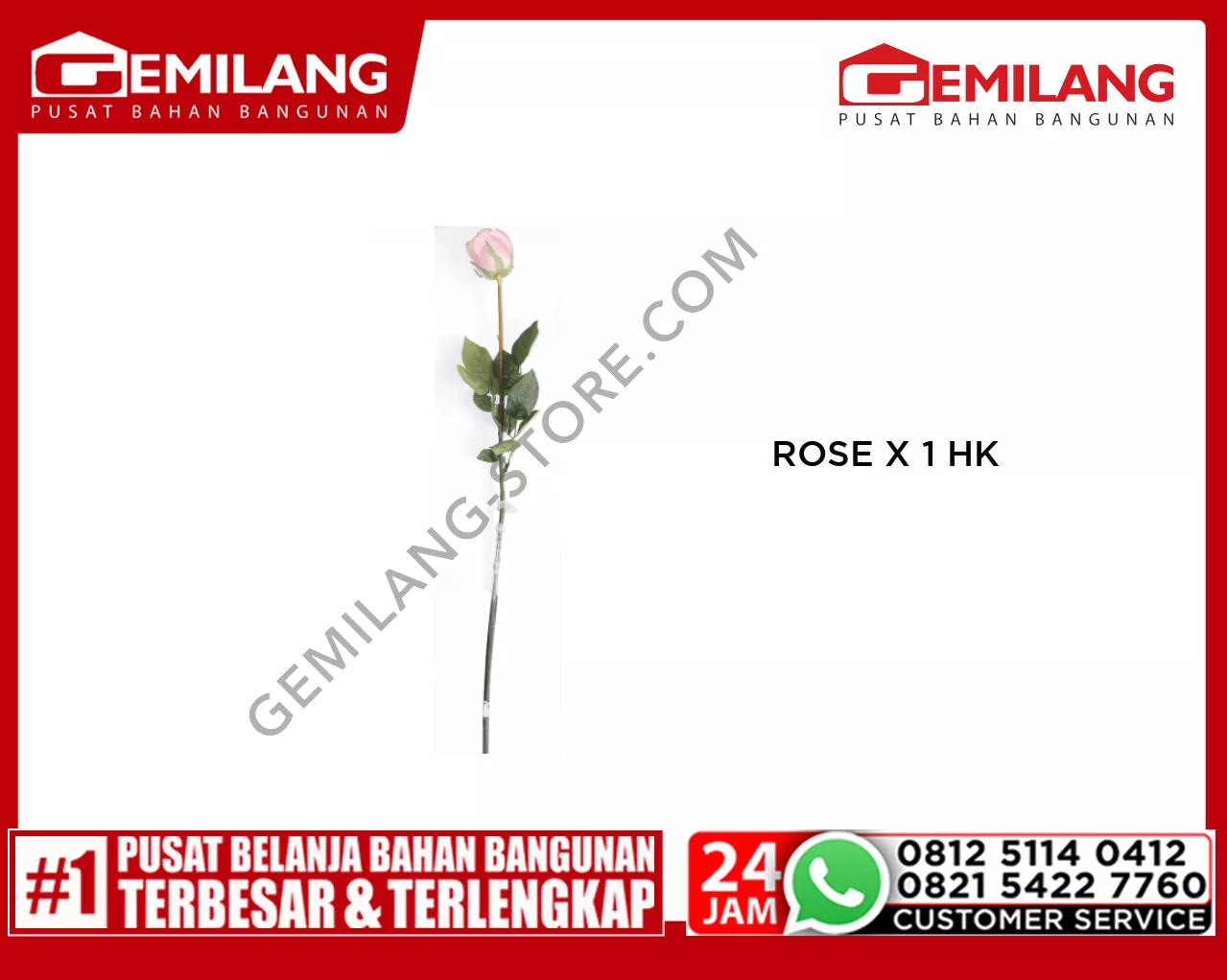 ROSE X 1 HK